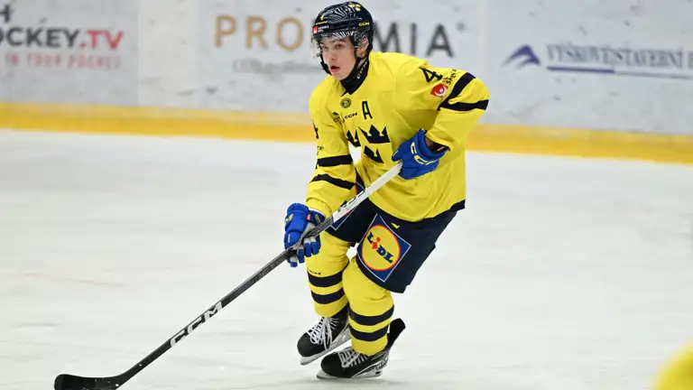 Axel Sandin Pellikka Foto Svenska Ishockeyförbundet