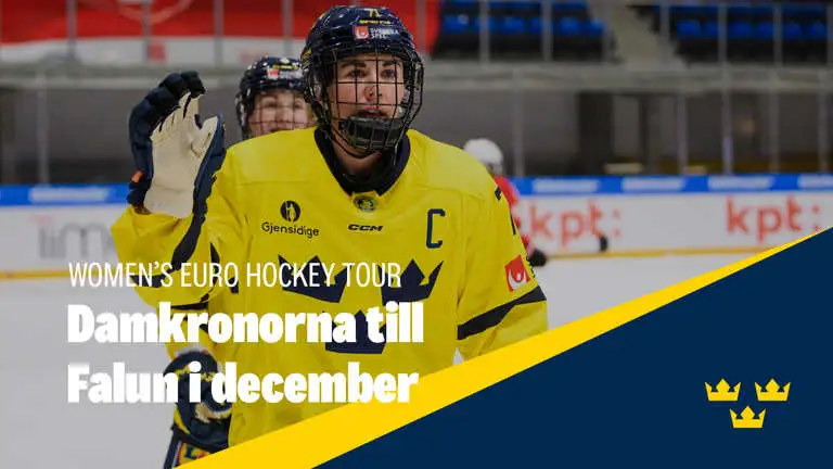 2023 11 17 Dk Falun Swehockeyse