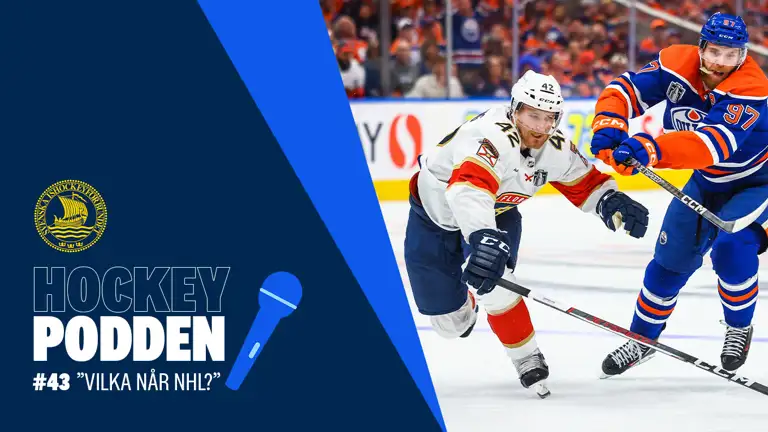 43 Vilka Når Nhl