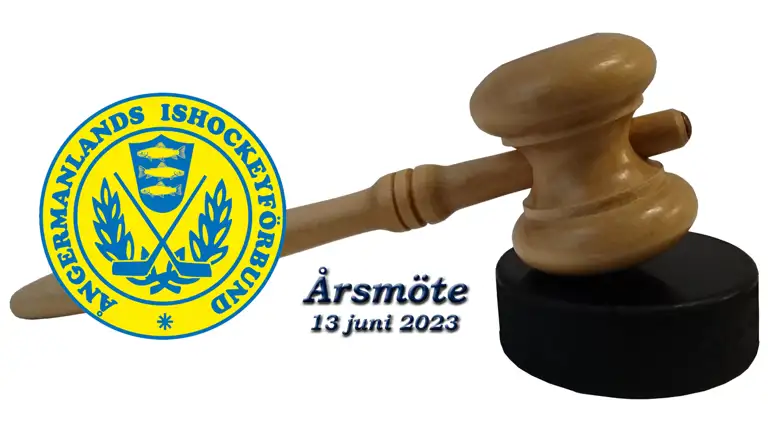 Årsmöte 2023 (1)