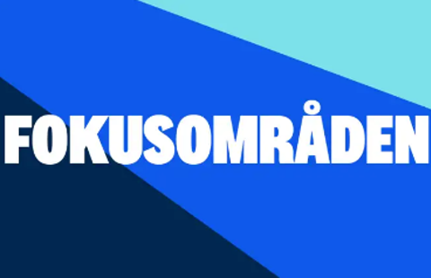 Fokumområden Kopia