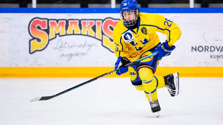 Alexander Zetterberg