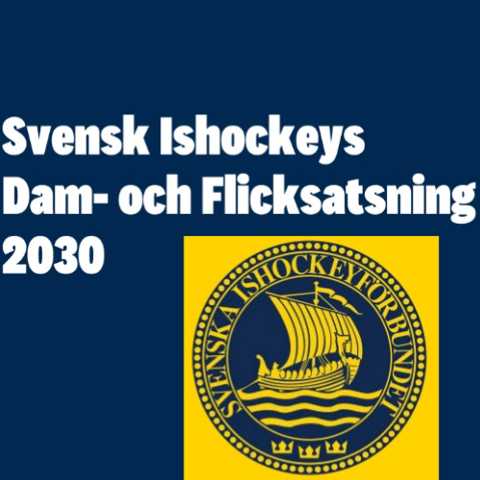 Dam & flicksatsning