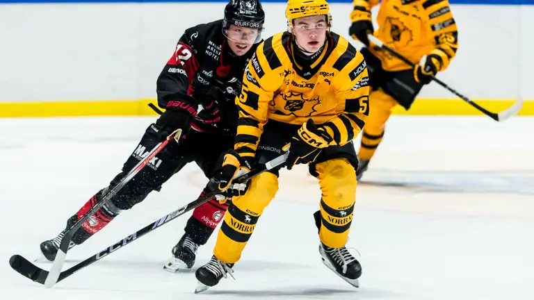 Årets Junior
