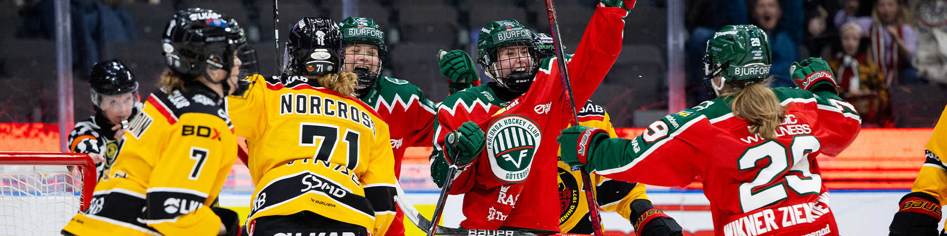 SDHL Final