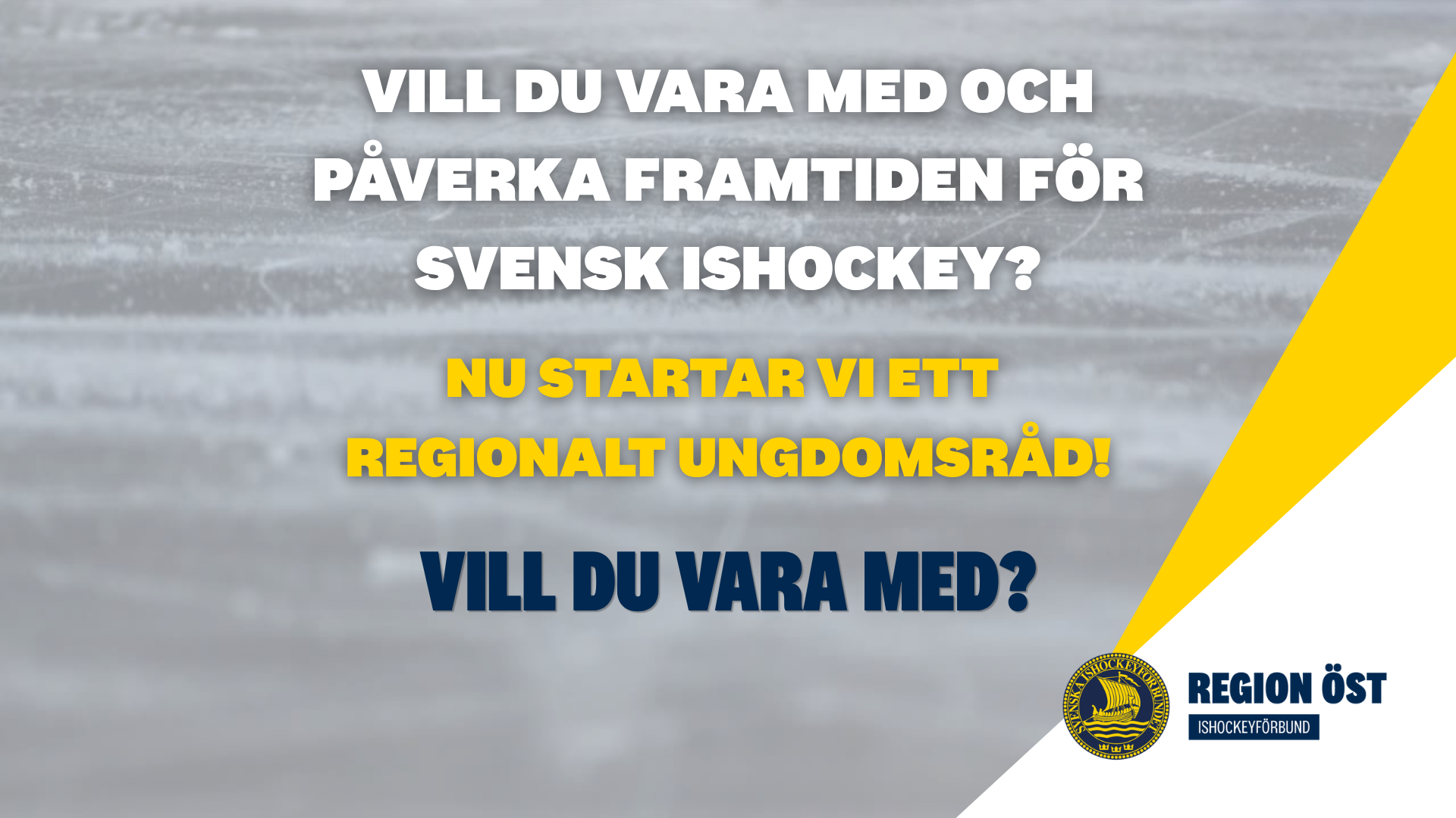 UNGDOMSRÅD (Presentation)