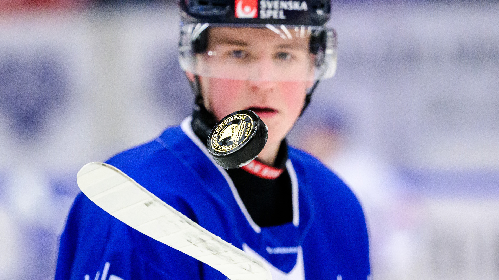 Hockeyallsvenskan Puck