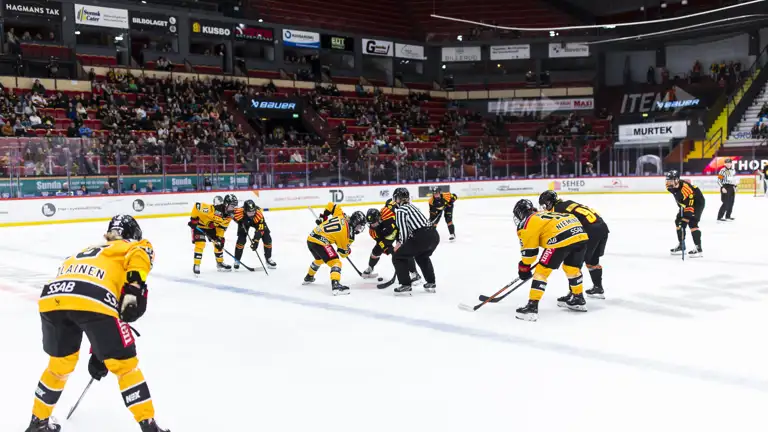 Brynäs Luleå SDHL Final
