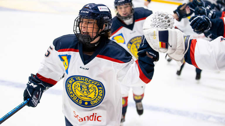 TV Pucken Flick Arkivbild