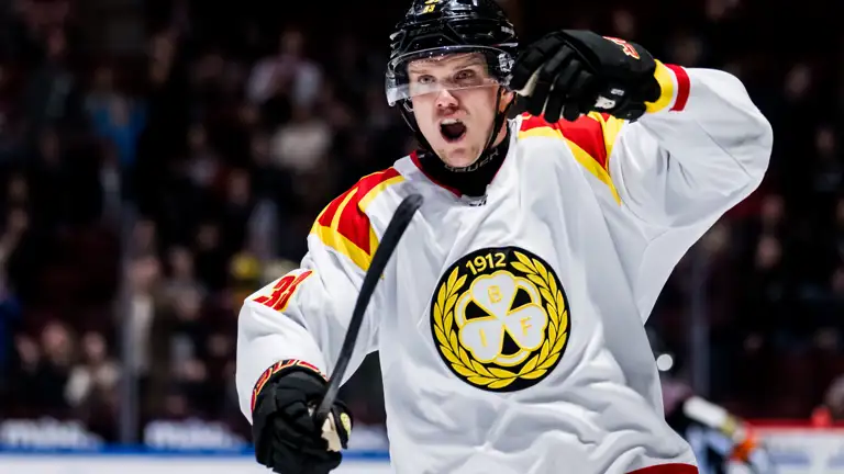 Silfverberg Rinkens Riddare