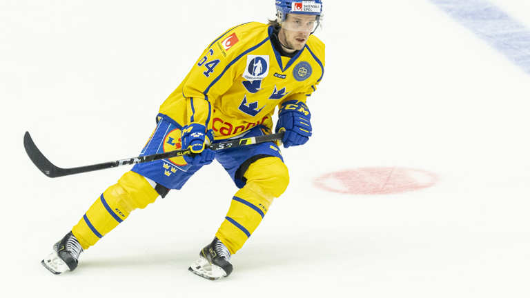 Pudas Salming Trophy