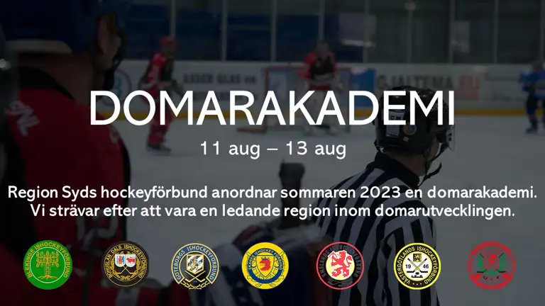 Domarakademi Region Syd