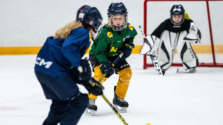 Projektstöd IF Barn Och Ungdom Bild