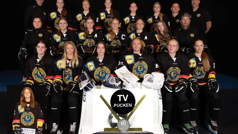 Tvpuck Flick 2024 Silver