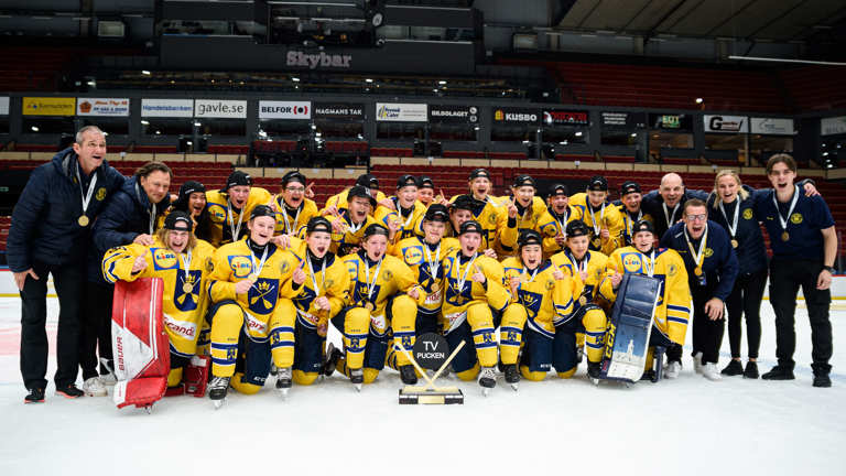 Dalarna Vann 2023