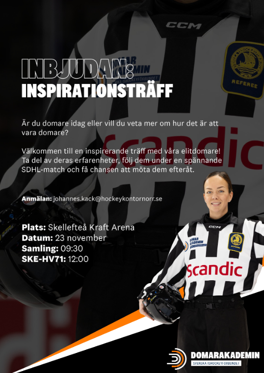 Inspirationsträff Domare