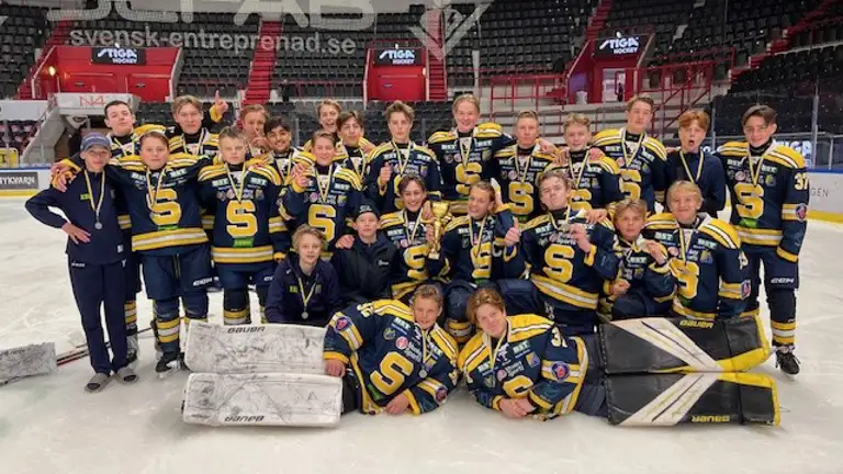 Lag Dm Ssk U15