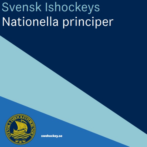 Nationella principer_bild