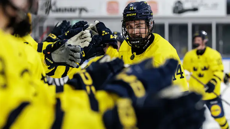 Team 17 Herr Milan Sundström